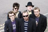 The Cheapsuits